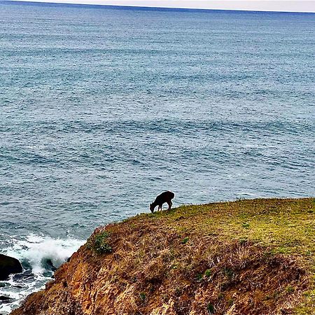 Inn Of The Lost Coast Shelter Cove ภายนอก รูปภาพ