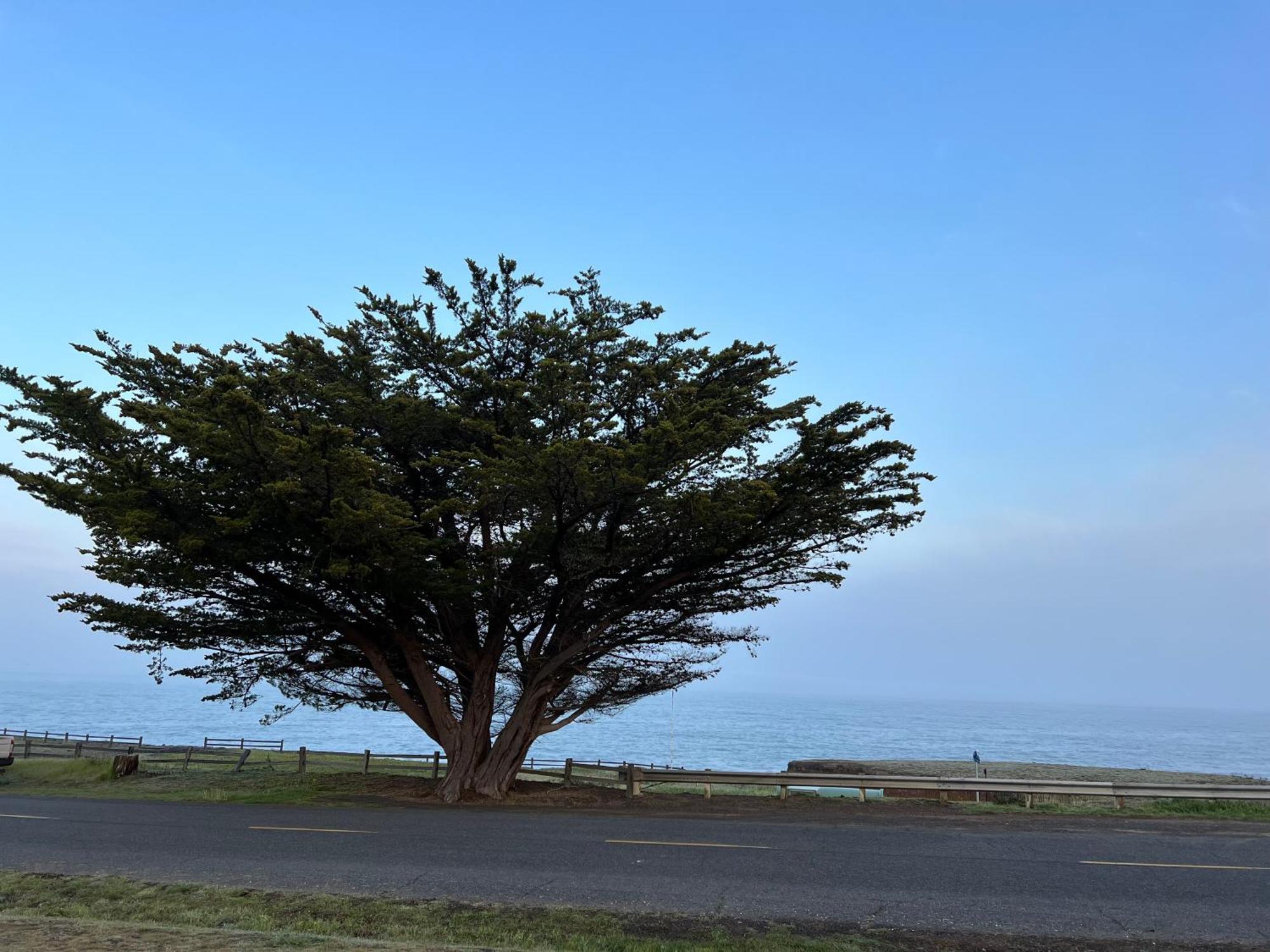 Inn Of The Lost Coast Shelter Cove ภายนอก รูปภาพ